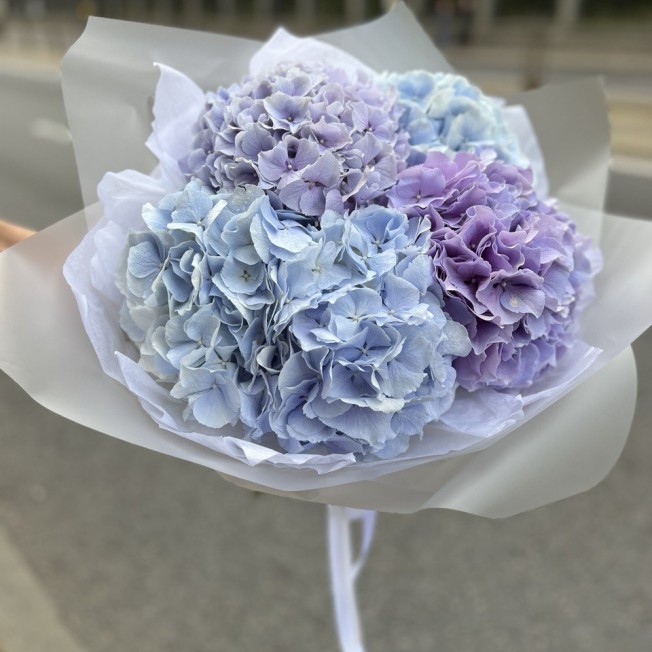 Bouquet of flowers №78 from different flowers of hydrangeas (from 3pcs)