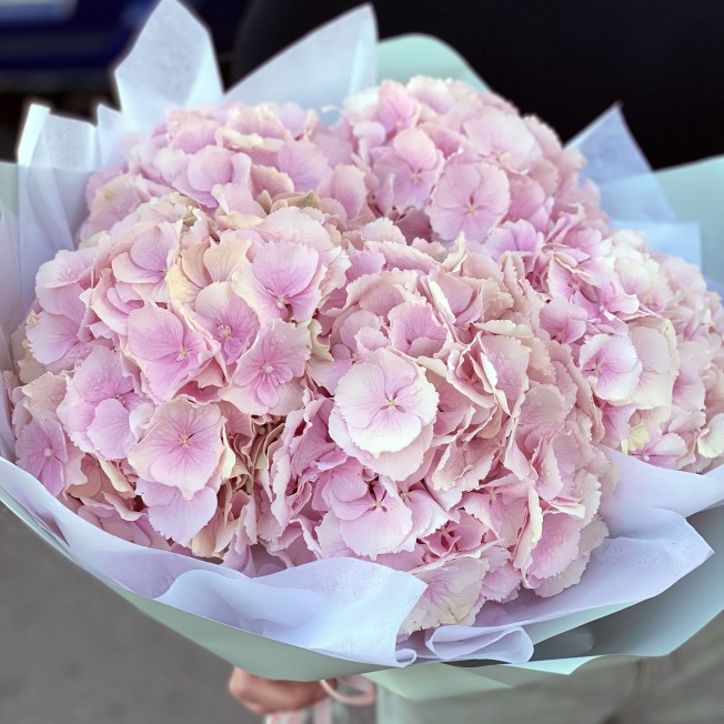 Bouquet of pink hydrangeas (from 3pcs)