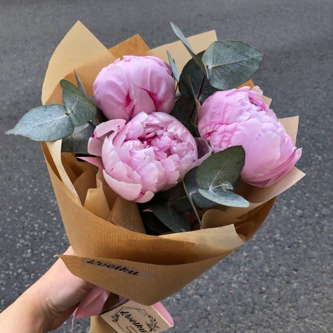 Peonies: buy a bouquet, price in Minsk - delivery