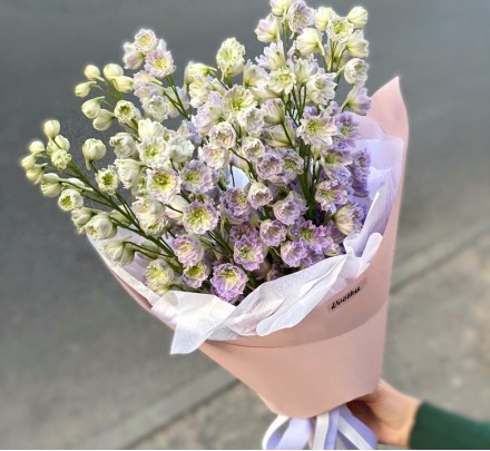 Bouquet of lavender delphinium