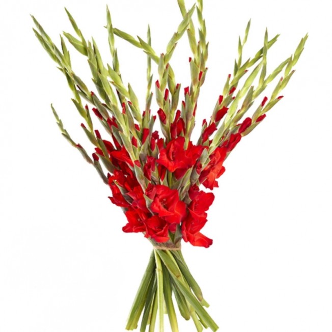 Bouquet of flowers from red gladiolus