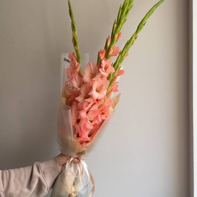 Bouquet of flowers from coral gladiolus