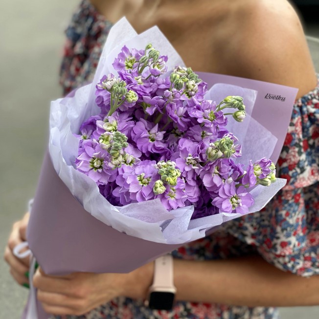 Bouquet of flowers from lilac matthiola