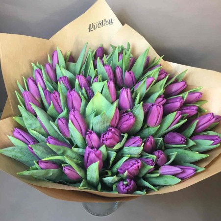 Raspberry tulips