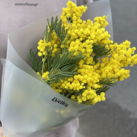 Bouquet of mimosa