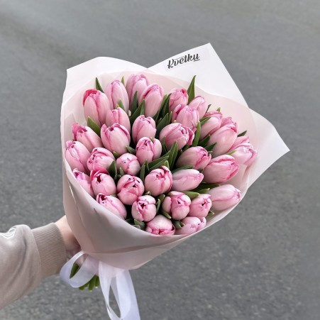 Pink tulips