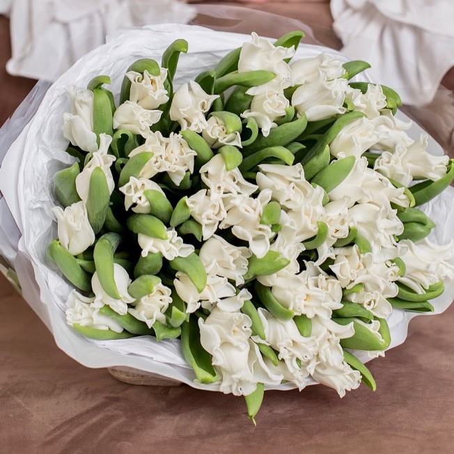 Bouquet of peony tulips White Liberstar